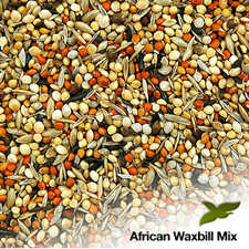 Probird's Waxbill Mix